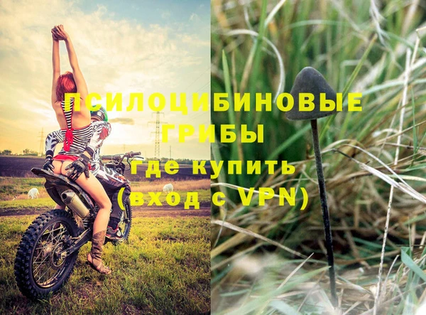 гидропоника Балахна